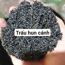 TRẤU HUN LÀ GÌ