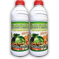 Tinh chất dịch chiết trùn quế & rong biển siêu đậm đặc 1L, dinh dưỡng dễ hấp thụ cho mọi loại cây