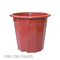 Chậu nhựa trồng cây E230 (19x15cm), Chậu E280 (23x20cm) - Chậu ươm