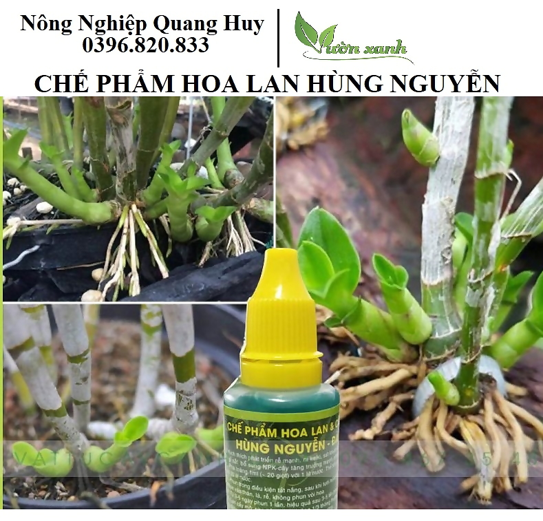 Chế phẩm Hùng Nguyễn (6 trong 1)