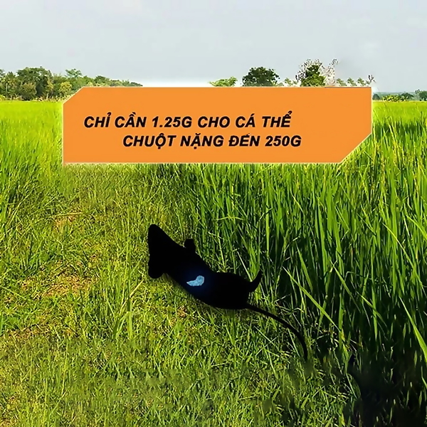 Gói diệt chuột STORM 20 viên, bả diệt chuột sinh học an toàn, cực nhạy