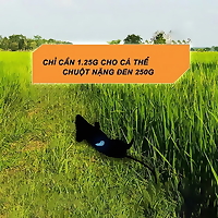 Gói diệt chuột STORM 20 viên, bả diệt chuột sinh học an toàn, cực nhạy