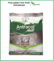 Antracol 70WP- Thuốc trừ nấm bệnh phổ rộng bổ sung kẽm giúp cứng cây, xanh lá