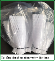 Set 50 bọc xốp ổi lồng sẵn (gồm 3 chi tiết nilon +xốp+chun) bảo vệ trái khỏi ruồi chích