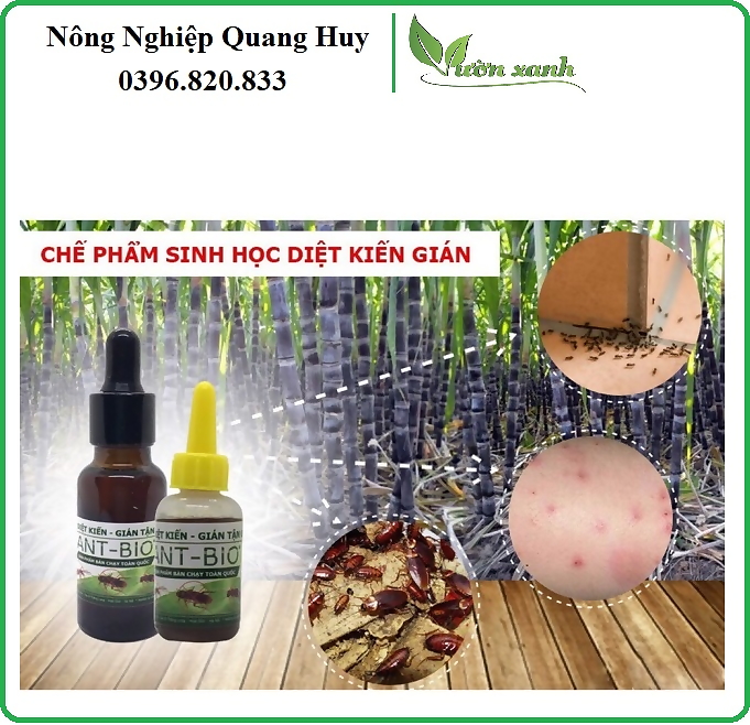 Ant Bio 10ml - Chế phẩm diệt kiến tận gốc - diệt gián sinh học lọ nhỏ giọt, an toàn cho gia đình