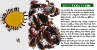 Ant Bio 10ml - Chế phẩm diệt kiến tận gốc - diệt gián sinh học lọ nhỏ giọt, an toàn cho gia đình