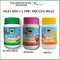 Phân bón NPK, phân bón lá Đầu Trâu chuyên dành cho hoa lan, cây kiểng 100gr/hũ