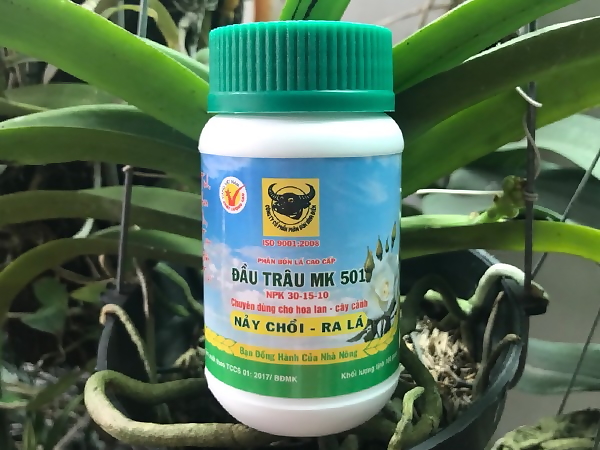 Phân bón NPK, phân bón lá Đầu Trâu chuyên dành cho hoa lan, cây kiểng 100gr/hũ