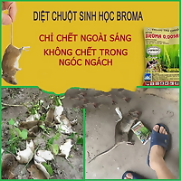 Bả diệt chuột trộn thóc BROMA 50gr, diệt chuột sau 1 lần ăn