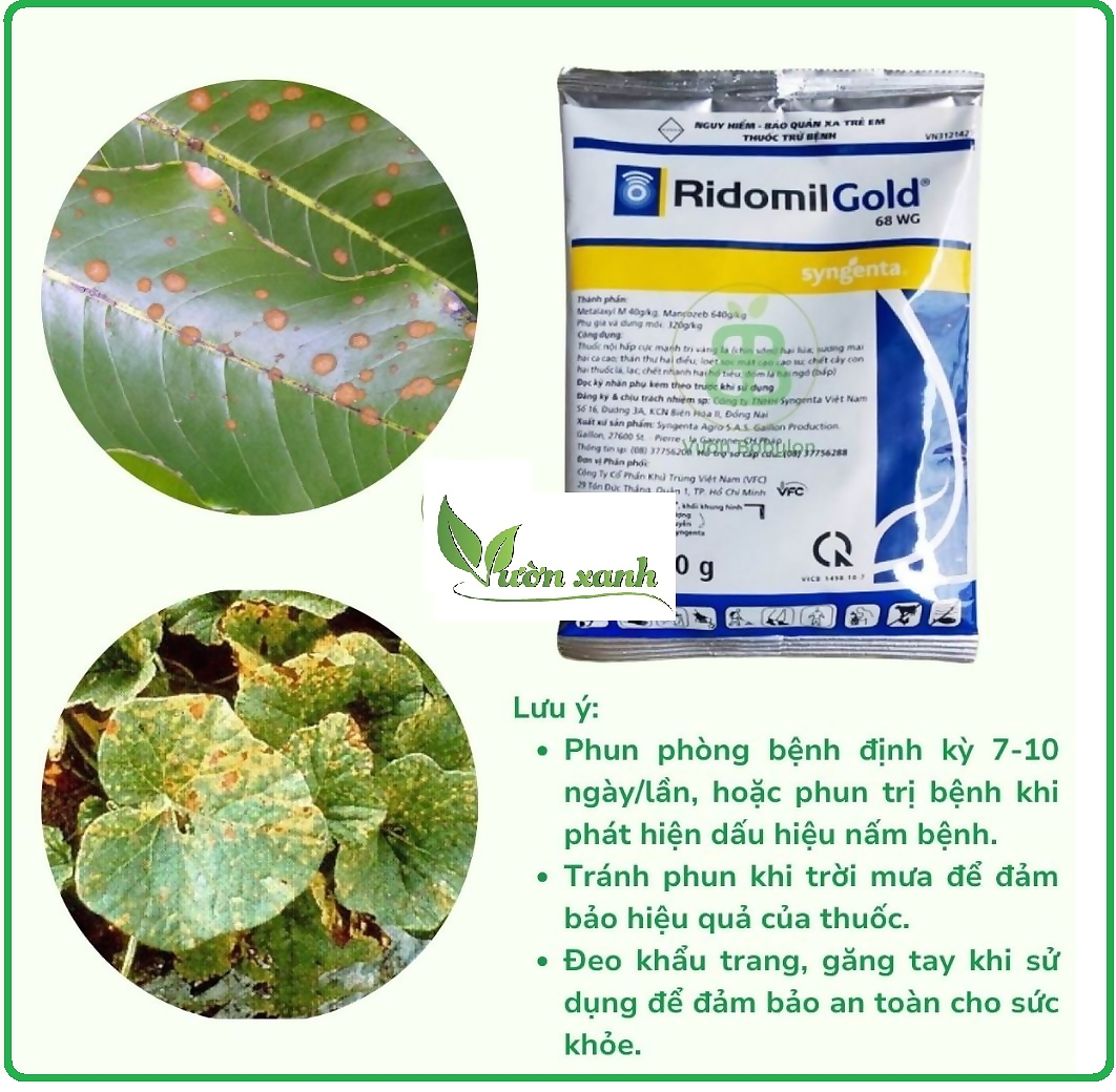 Ridomild gold 100gr chuyên dùng tưới trừ nấm thối rễ, quét xì mủ, chảy nhựa thân cây