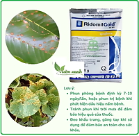 Ridomild gold 100gr chuyên dùng tưới trừ nấm thối rễ, quét xì mủ, chảy nhựa thân cây