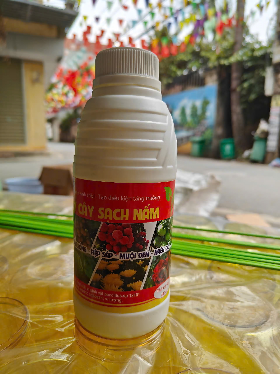 Tẩy rửa rong rêu trên cây trồng, nấm mốc, muội đen, nấm hồng, rệp sáp trên cây trồng 480ml