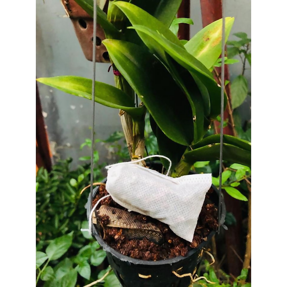 SET 100 túi lọc trà, cà phê, thảo dược, túi đựng phân tan chậm bón cây bonsai, phong lan có dây buộc, bằng vải không dệt