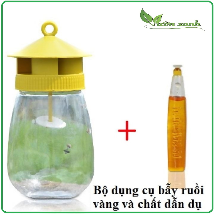 Lồng bẫy ruồi vàng - Dụng cụ bẫy ruồi vàng kèm ống dẫn dụ