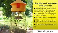 Lồng bẫy ruồi vàng - Dụng cụ bẫy ruồi vàng kèm ống dẫn dụ