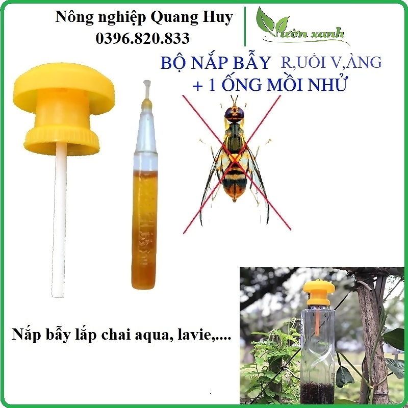Bộ 10 chiếc nắp bẫy ruồi vàng đục trái, dụng cụ quản lý ruồi hại trái lắp với chai nhựa