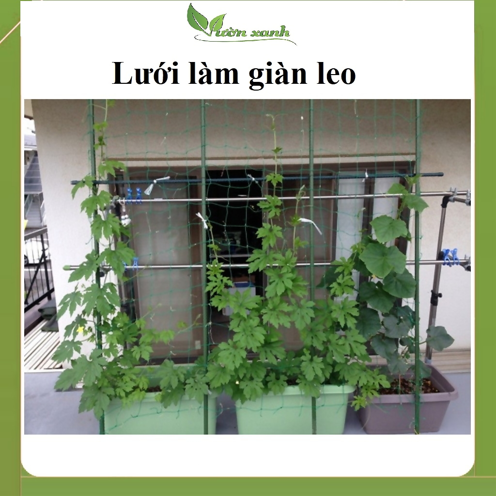 Lưới làm giàn dây leo, lưới làm giàn cây Ollie net (xanh) thích hợp làm giàn dưa lưới, khổ qua, mướp,...