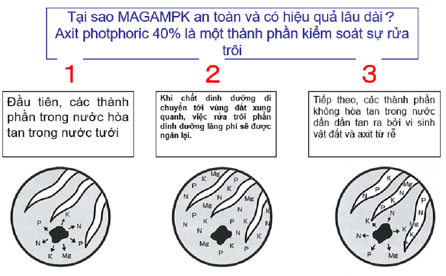Phân tan chậm MagampK Nhật Bản 6-40-6-15 gói 600gr- NK Nguyên gói