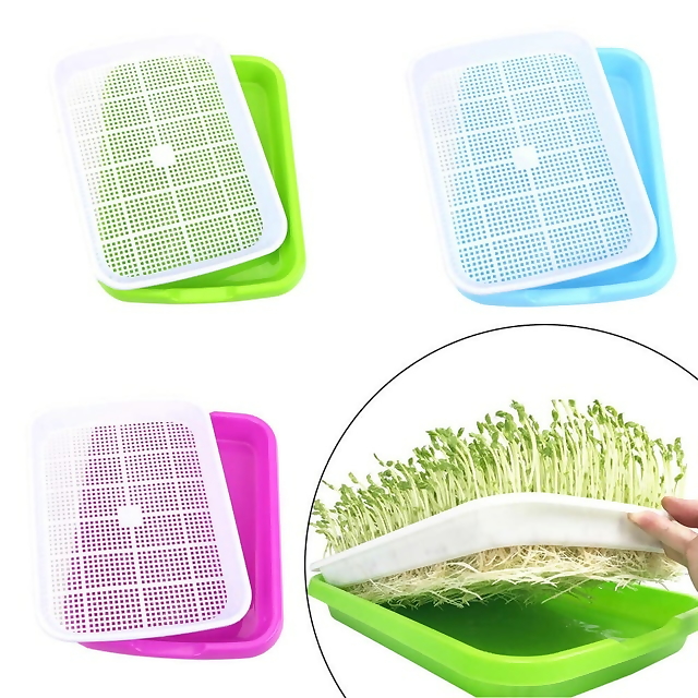 Khay trồng rau mầm chuyên dụng, giá trồng rau mầm tiện lợi, sạch sẽ