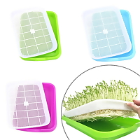 Khay trồng rau mầm chuyên dụng, giá trồng rau mầm tiện lợi, sạch sẽ