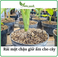 500gr- Vỏ trấu khô làm giá thể trồng hoa, lan, thủy canh, chăn nuôi