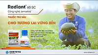 Chế phẩm sinh học chuyên trừ trĩ trên hoa, cây cảnh RADIANT 60SC