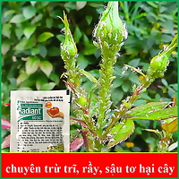 Chế phẩm sinh học chuyên trừ trĩ trên hoa, cây cảnh RADIANT 60SC