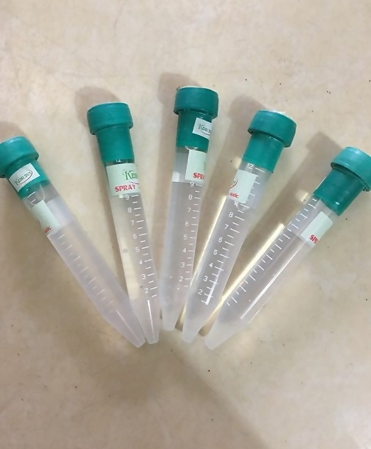 Keiki Duy Xanh Đỏ, ki duy xanh kích Mầm Và Chồi Phong Lan Dạng Phun ống 15ml