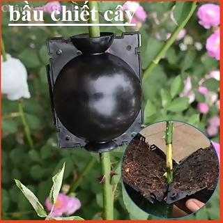 Set 10 bầu chiết cành, dụng cụ chiết cành bảo vệ mắt chiết tối đa, tăng khả năng ra rễ và sức sống của mắt chiết