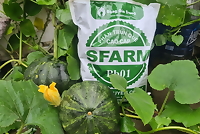 Phân bón hữu cơ trùn quế cao cấp Sfarm, không mùi, tăng độ mùn cho đất, an toàn cho rễ cây, trồng rau hữu cơ