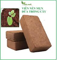 Viên nén mụn dừa ép tiện lợi, dùng trồng cây ăn trái, trồng rau, nặng 450-500g