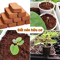Viên nén mụn dừa ép tiện lợi, dùng trồng cây ăn trái, trồng rau, nặng 450-500g