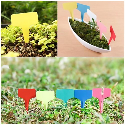 Set 100 bảng ghi tên cây trồng, thẻ ghi tên cây dạng cắm chất liệu nhựa nhiều màu sắc