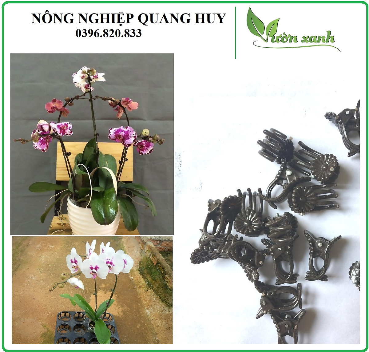 Bộ 100 kẹp bướm cặp cành lan, hoa hồng, cây cảnh