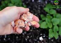 Vỏ trứng gà xử lý, làm nhỏ- 1kg phòng tránh ốc sên, cải tạo đất, cung cấp canxi cho cây